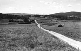 Väg vid Järvsö, från Kåsjö.
