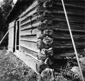 Timrad knut öster om Byvallen i Simeå.