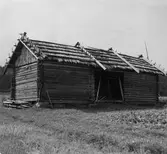 Dubbellada i Förnebo, Järvsö.