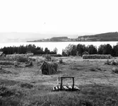 Landskapsbild från Nor, Järvsö med höhässjor och 