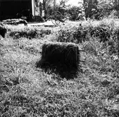 Från Sanna i Järvsö.