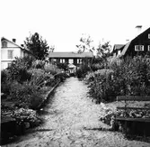 Hälsingegården i Kåsjö by, Järvsö.