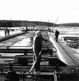 Timmerflottning på Marmen.