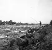 Sportfiske i Ljusnan.