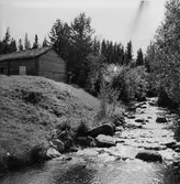 Forellbäck öster om Byvallen ?