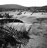 Vy över Åsbo, Järvsö.