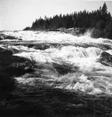 Laforsen mellan Färila och Kårböle.