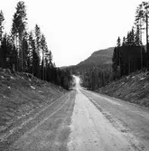 Vägen Ljusdal - Ramsjö.