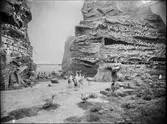 Diorama från Biologiska museets utställning om nordiskt djurliv i havs-, bergs- och skogsmiljö. Fotografi från omkring år 1900.
Biologiska museets utställning
Trana
Grus Grus (Linnaeus)
Skarv
Storskarv
Phalacrocorax Carbo (Linnaeus)
Sillgrissla
Uria Aalge (Pontoppidan)
Örn
Havsörn
Haliaeetus Albicilla (Linneaus)