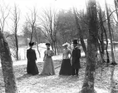 Stadsträdgården (?), Gävle.
