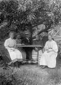 Familjefoto. I trädgården, ca 1895, Ruddammsgatan 7. Foto: Anna Nordlöw, Gävle.
Sirid, Selma, Herman, okänd, Birger och Gertrud.