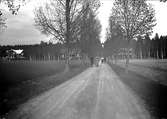 Johannisdal, människor på promenad.
Fotograf E Sörman.