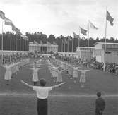 Gävleutställningen 1946
arrangerades 21 juni - 4 augusti. En utställning med anledning av Gävle stads 500-årsjubileum. På 350.000 kv.m. visade 530 utställare sina produkter. Utställningen besöktes av ca 760.000 personer.

Gymnastikuppförande av Tobaksmonopolets kvinnliga anställda