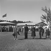Nöjesavdelning på Folkparken. Gävleutställningen 1946


