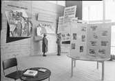 Gävleutställningen 1946

Yrkesinspektionen inspekterar
