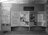 Gävleutställningen 1946. Hemmets Forskningsinstituts monter.