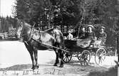 Jöns Wilanders tre barn Karl Gustaf, Anna Sofia och Astrid Elisabet sitter i vagnen bakom hästen Frej. Mannen i hatt bakom ekipaget är okänd.