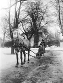 Slädfärd vid Herrgården. Tidsomfånget är 1900 - 1940