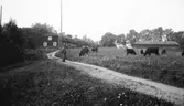 Tolvfors Bruk. Tidsomfånget är 1900 - 1940