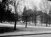Park. Tidsomfånget är 1900 - 1940