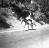 Militär på häst. Tidsomfånget är 1900 - 1940