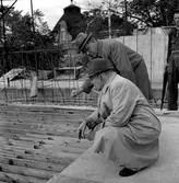 Nya Elverket.
25 september 1955.