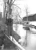 En ensam kvinna med hund. Åsnebryggan i Åby park vid Valsjöbäcken. Den 14 maj 1899