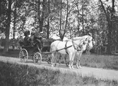 Hästarna drar vagnen med herrskapsfolket. Den 18 juni, på förmiddagen