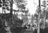 Från Utsiktsberget i Knivsta. Den 5 maj 1908.