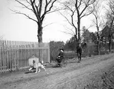 Åby, Erik Stackelberg, född 1901, Albert och hunden Flink. Den 28 april 1906.