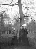 Knut, Ida och Hanna. Åby. Den 4 juni 1906.