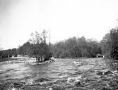 Stadsträdgården. Den 12 juni 1906.