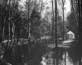 Stadsträdgården. Den 12 juni 1906.