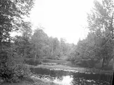 Vy över parken. År 1906.