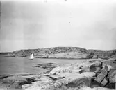 Testeholmen. År 1899.