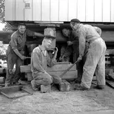 Flyttning av hus på norr.
27 september 1955.