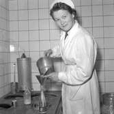 Förbud mot trattmjölk.
30 september 1955.