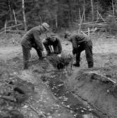 Skap-kurs i Haddebo.
30 september 1955.