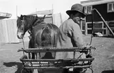Bild av man i vagn spänd bakom häst. Familjen Taikons läger vid Johanneshov, södra Stockholm