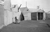 En ensam kvinna sitter i en stol framför en rad tält. Familjen Taikons läger i Johanneshov, södra Stockholm.