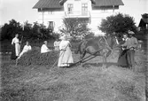 Slåtter utanför hemmet i Östby, strax öster om Ockelbo tätort. Margta Hillström tvåa från vänster, Folke Hillström fyra från vänster.