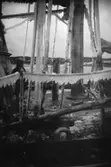 Flicka på fiskebåt.
