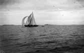 Segelbåt.