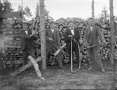 Fyra män sågar ved.