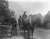 Hästekipage och kvinna på cykel.