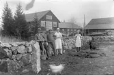 Gruppbild, män vid stengärdesgård.