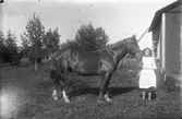 Flicka med häst.