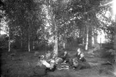 Picknick i det gröna, gruppbild.
