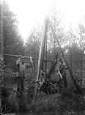 Stubbrytning, en av männen är Jöns Wilander.