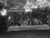 Kaffeservering med kvinnor i hembygdsdräckter.